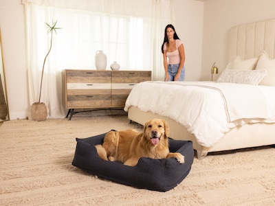 Oppblåsbar hundeseng fra Intex