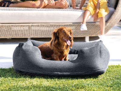 Oppblåsbar hundeseng fra Intex