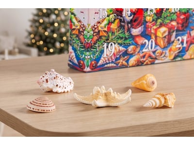 Julekalender med skaller