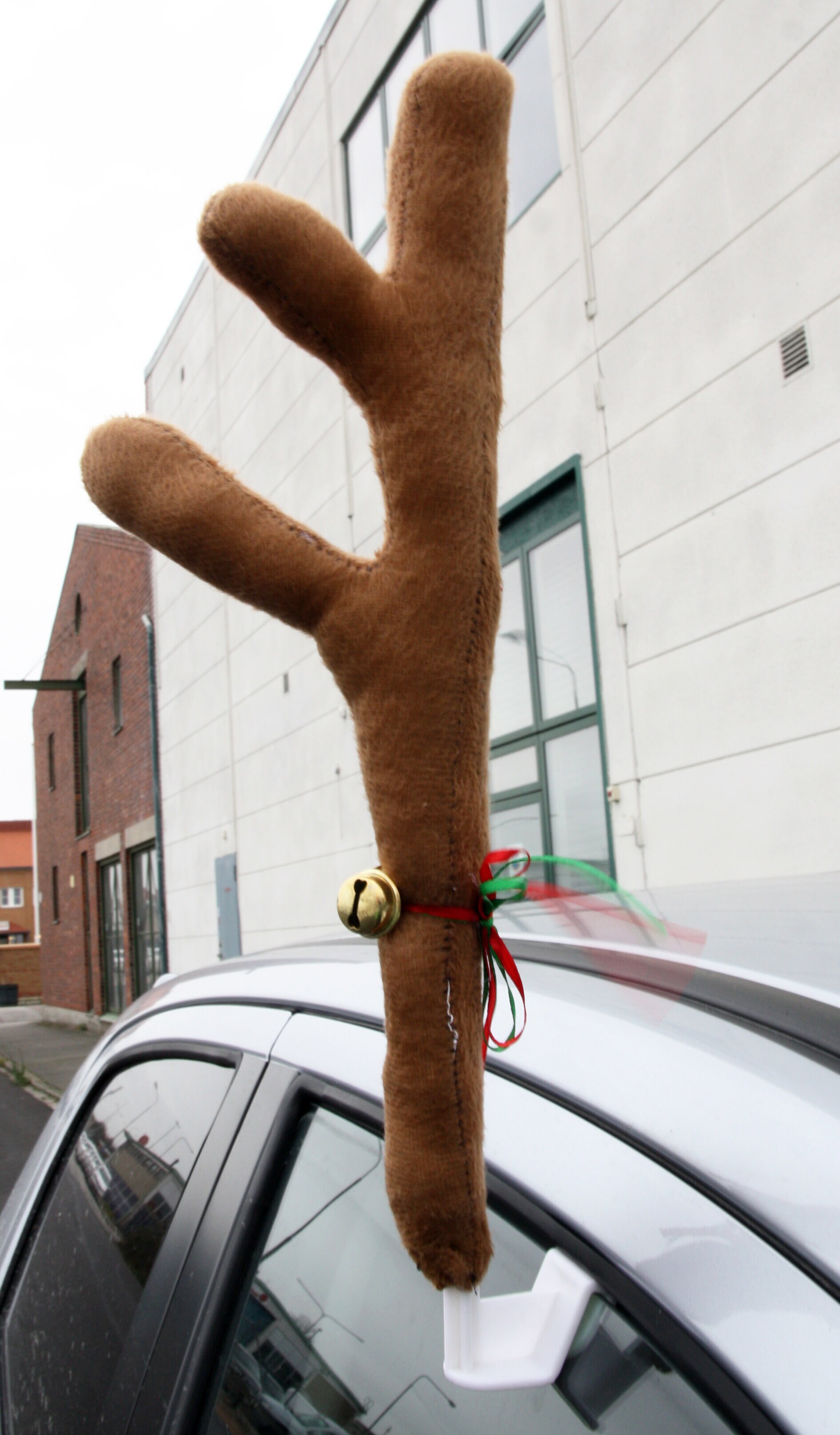 Rudolfkostym till bil