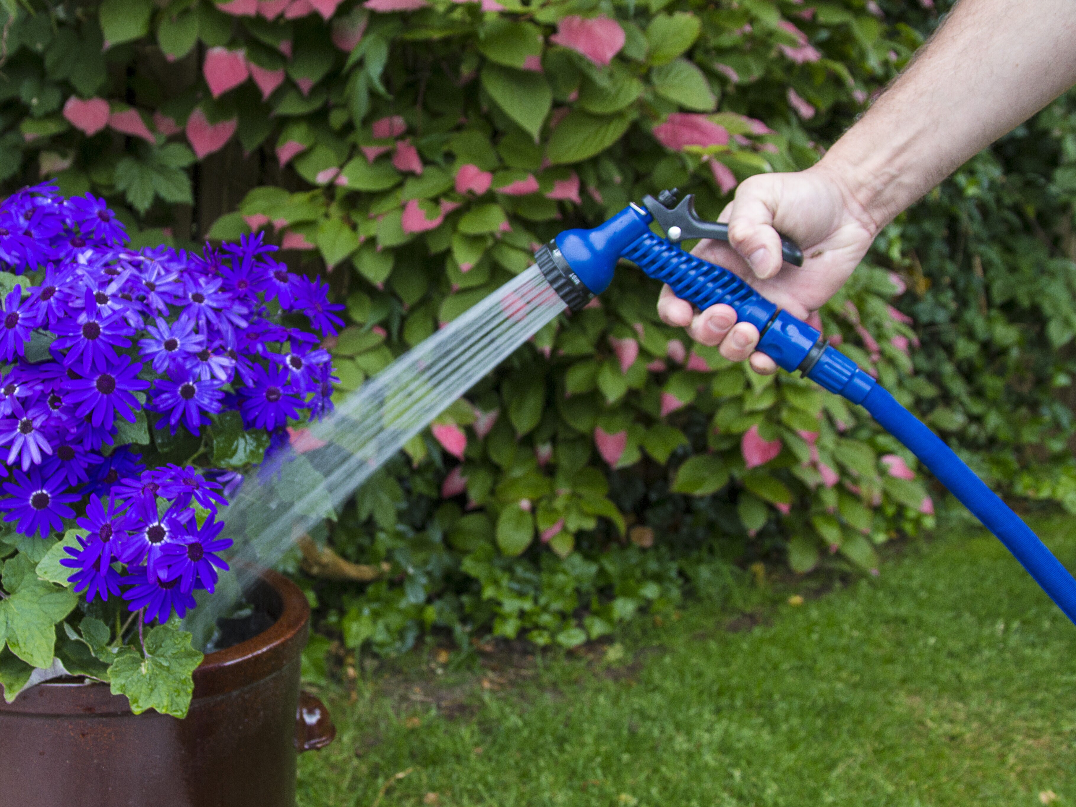 Ekspanderende Vandslange